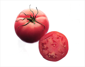 Tomato Selected Fresh